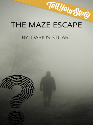 cover image of The Maze Escape
